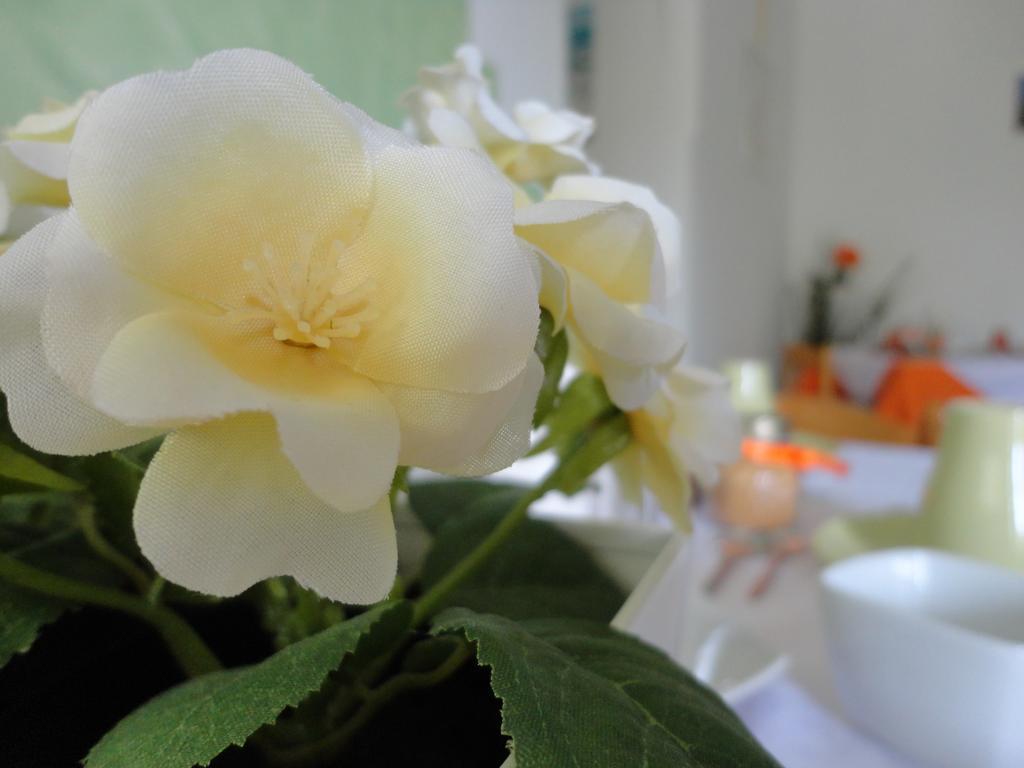 B&B Cristina Centola Bagian luar foto